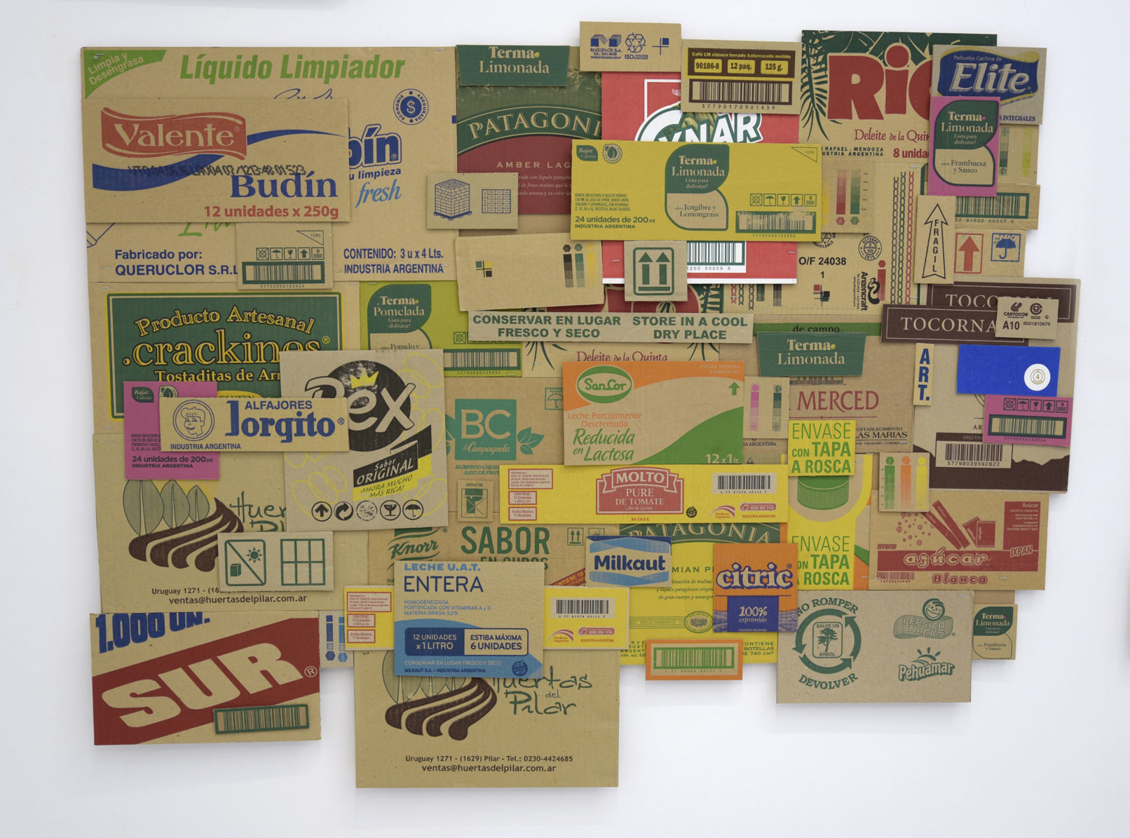 Â«SurÂ» 120 x 80 cm carton imprimé 2016 Elisa Strada