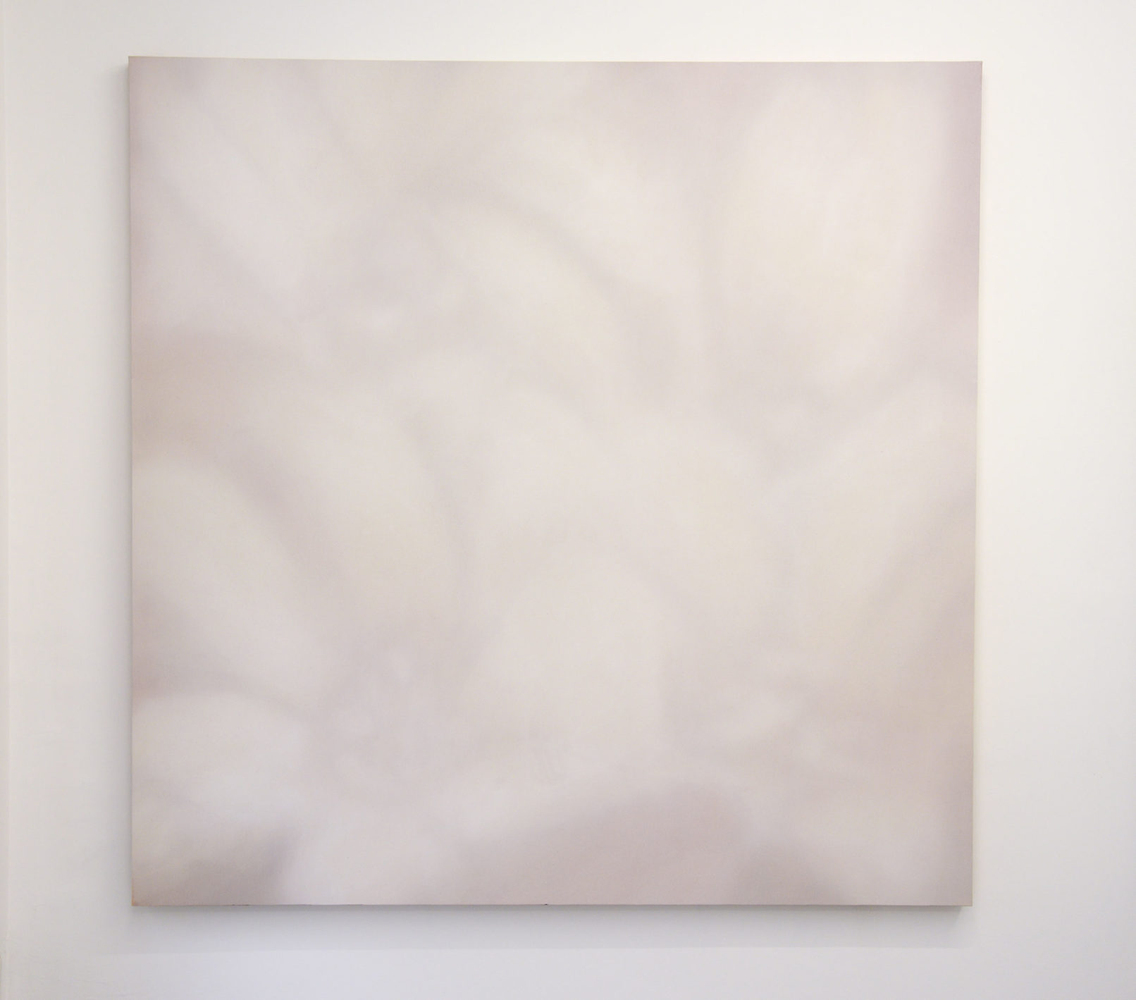 Gérard Quiles Sans titre (Epithelantha micromeris var. greggii) série Langage des fleurs acrylique sur toile 136 cm x 136 cm 2016