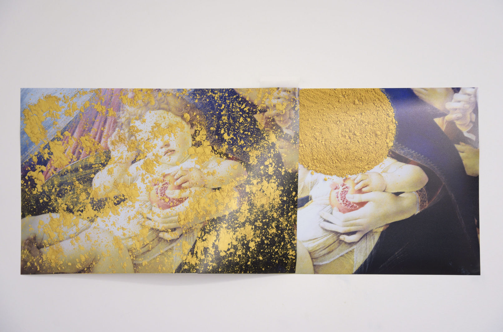 Constanza Piaggio installation Mental Meteorites Sans titre 30 x 73 cm impression jet d'encre 2017