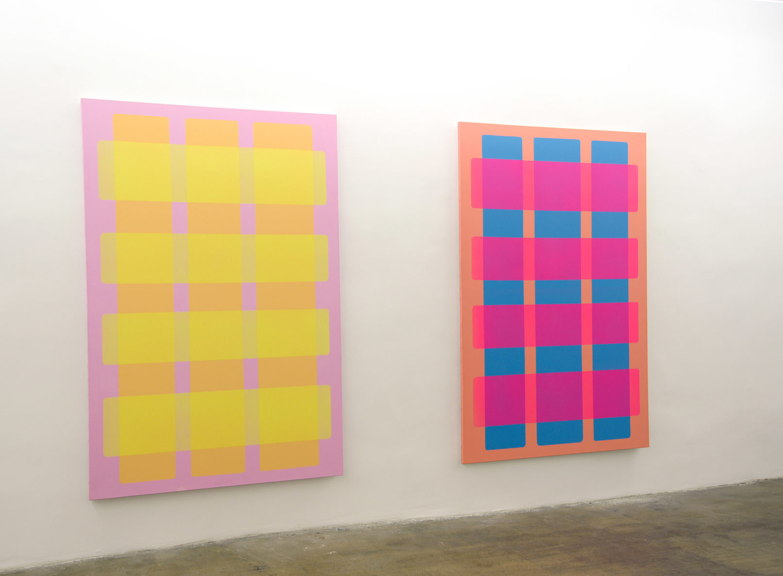 Valentina Canseco Matrice 17/18 #cagette Acrylique sur toile 195 x 130 cm - 2019