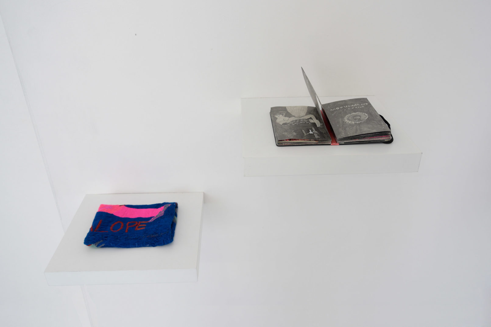 Yanieb Fabre Yegua livre d'artiste 14 x 265 cm 2017