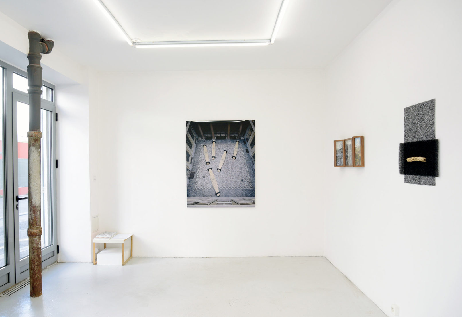 Vue d'exposition Assemblage #20 Des statures végétales