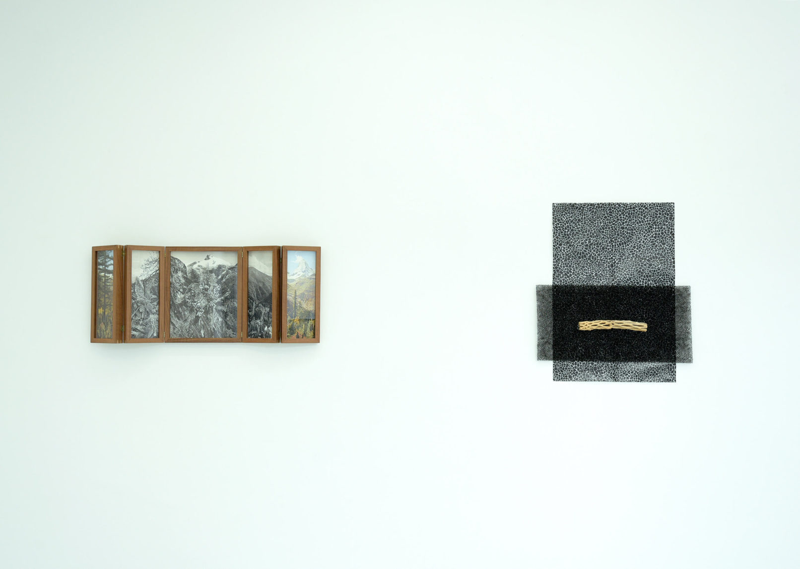 Vue d'exposition Assemblage #20 Des statures végétales