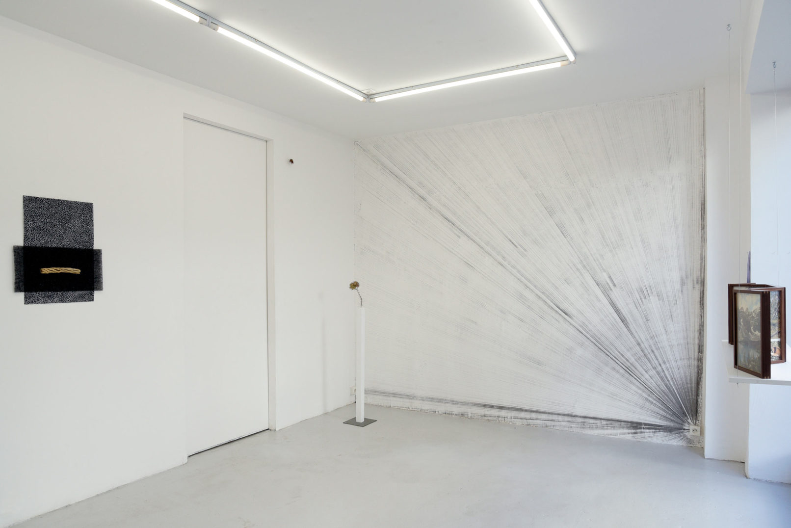 Vue d'exposition Assemblage #20 Des statures végétales